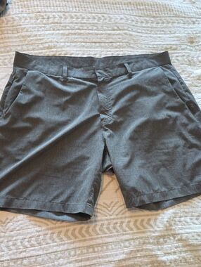 Fabletics Men's Grey Athletic Golf Shorts